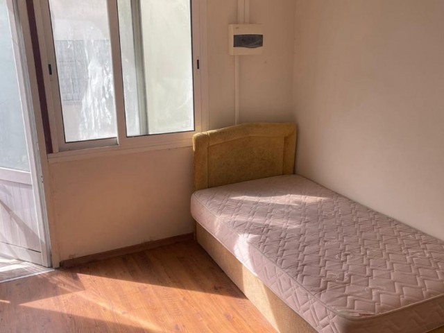 05428565602 Studio eine Person Wohnung zur Miete cirne Zentrum