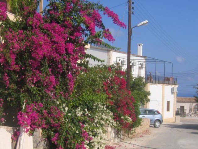 Traditional Cypriot house for sale in North Cyprus