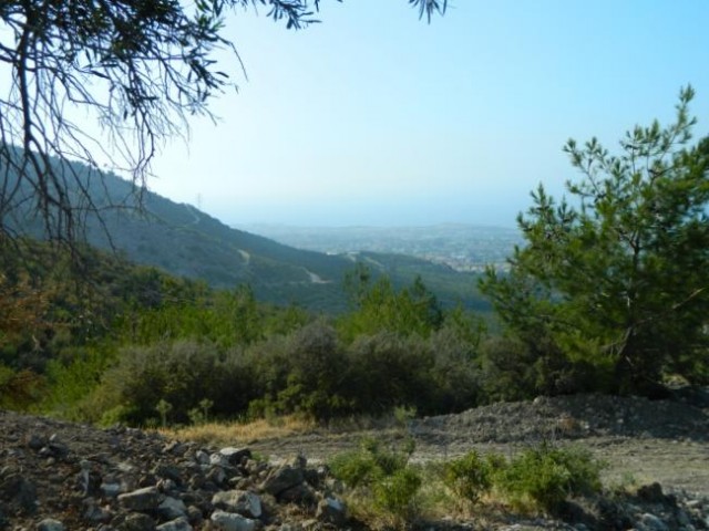 orijinal turkish  title deed forsale in catalkoy in northcyprus