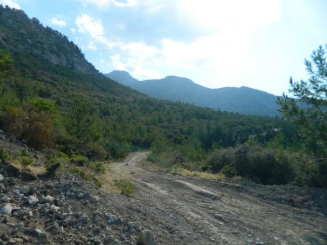 orijinal turkish  title deed forsale in catalkoy in northcyprus