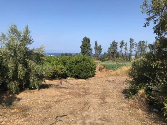 Residential Zoned Plot For Sale in Lefke, Lefke