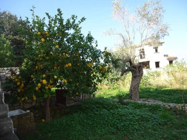 Villa zum Verkauf in esdeger mit Berg-und Meerblick auf 1 Hektar 1 Haus 1200 Quadratmeter Grundstück in der Perle von Kyrenia Catalköy. 3 + 1 400 Quadratmeter Innenbereich 100 Quadratmeter Außenbereich. Boden Deiche t lloetm lloetm Terrassen einschließlich do lloetal Marmor. Die Infrastruktur für di