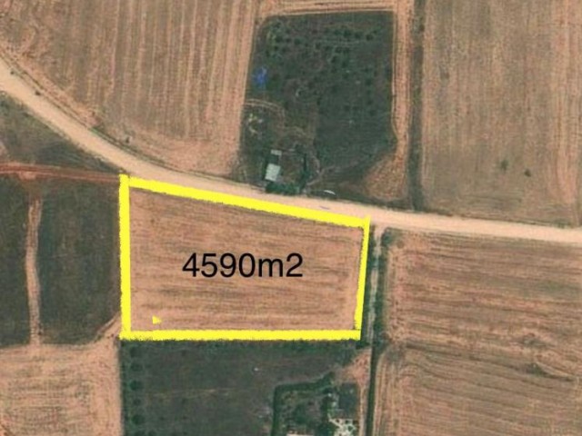 LAND FOR SALE IN GAZIMAGUSA MORMENEKSE 3 DONUM 1 EVLEK 2600 SQUARE SQUARE