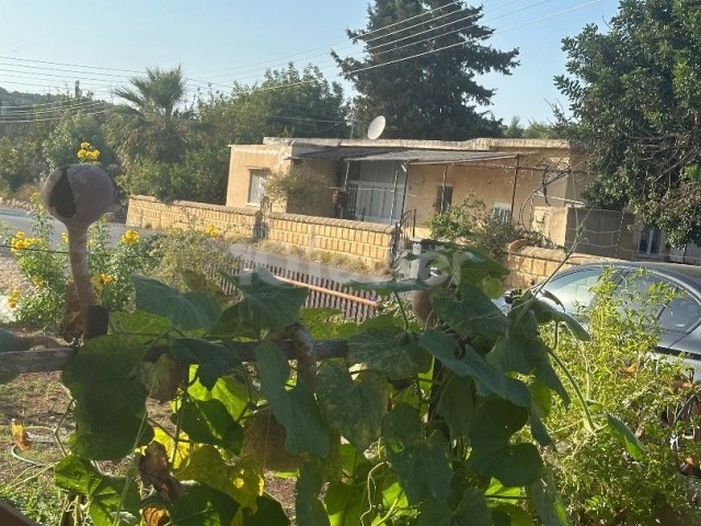 DETACHED HOUSE FOR SALE IN İSKELE DERİNCE VILLAGE WITHIN A 1400M2 LAND FOR THE PRICE OF A FLAT