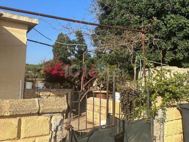 DETACHED HOUSE FOR SALE IN İSKELE DERİNCE VILLAGE WITHIN A 1400M2 LAND FOR THE PRICE OF A FLAT