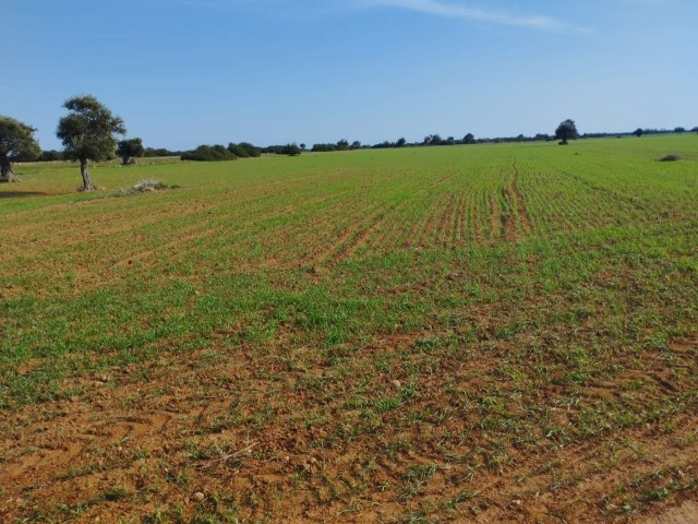 Land near the sea in Kumyalı