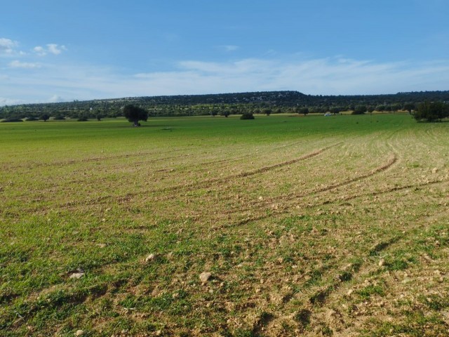 Land in der Nähe des Meeres in Kumyalı