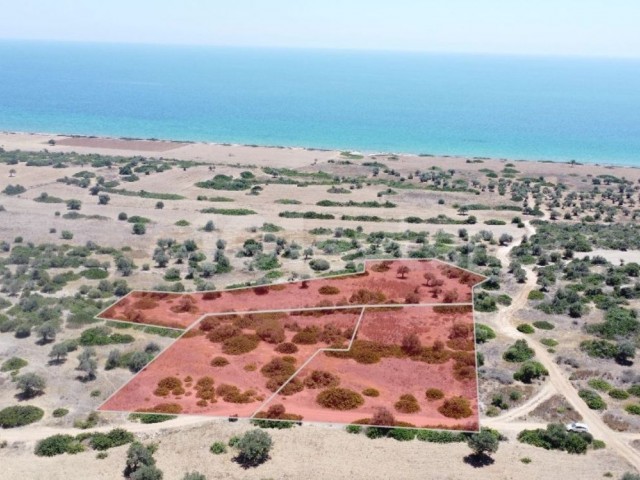 8 decares of 1 evlek land for SALE in İskele Derince area, only 400 meters from the sea