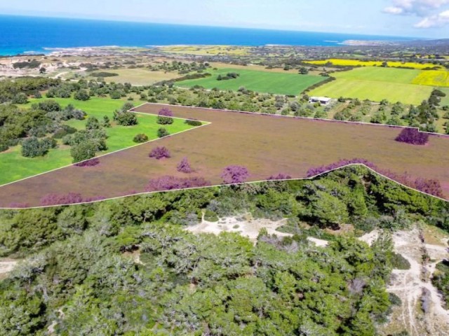 ZONED 23800M2 LAND FOR SALE IN İSKELE DIPKARPAZ