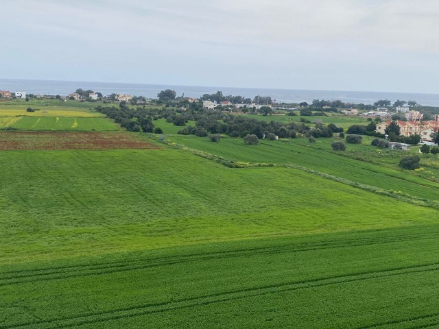 Where blue and green meet