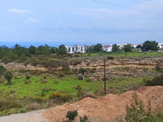 Land For Sale In Çatalköy