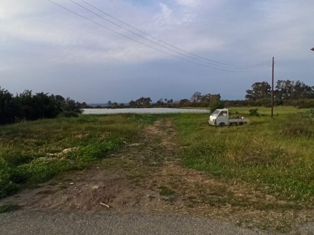 Land in Yesilyurt