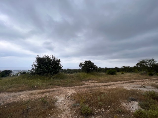 5800m² land for sale in Bellepais, Girne!