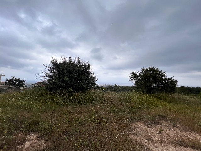 5800m² land for sale in Bellepais, Girne!