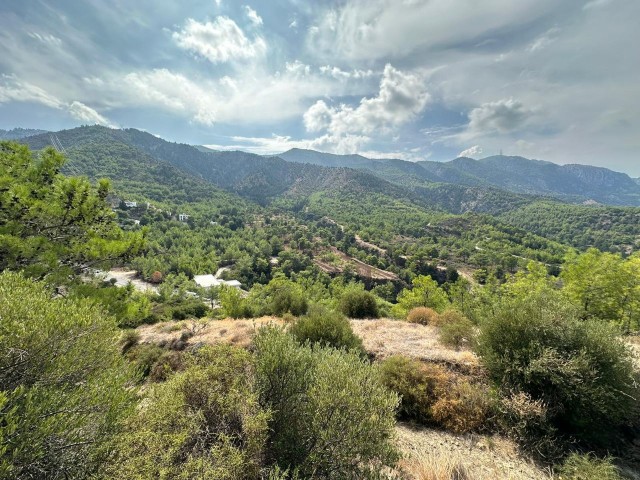 3 Hektar Land zum Verkauf in Kyrenia Malatya