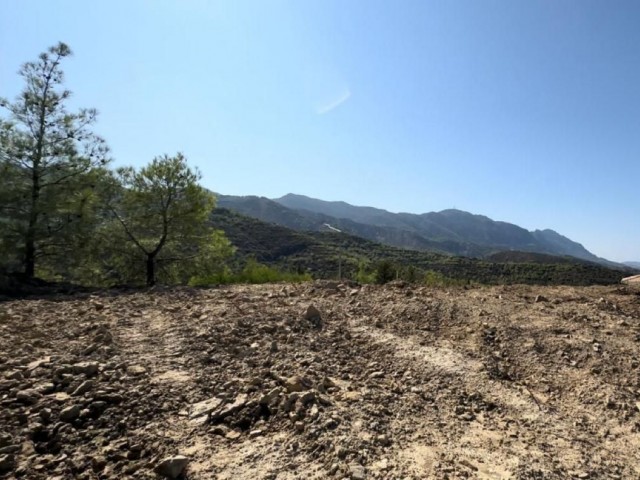 8567m2 TURK KOÇANLI Plot FOR SALE