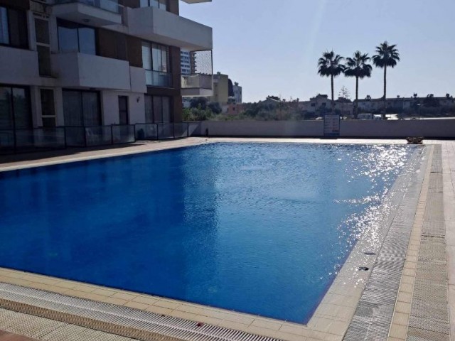 1+1 for rent in uptown residence center of Famagusta 
