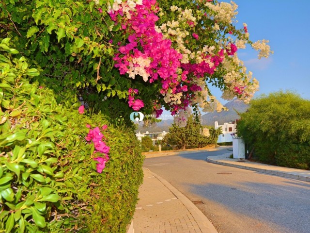 Exklusive Agentur * Wunderschöne freistehende Villa mit 4 Schlafzimmern in beliebter Lage