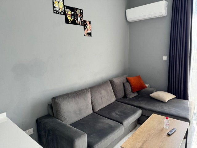 NEWLY FURNISHED 1+1 FLAT FOR RENT IN ALSANK