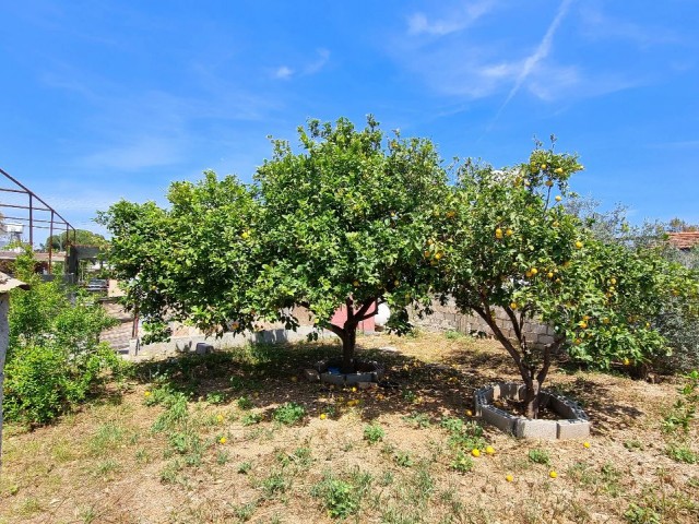 DOPPELHAUS MIT 2 SCHLAFZIMMERN UND GARTEN