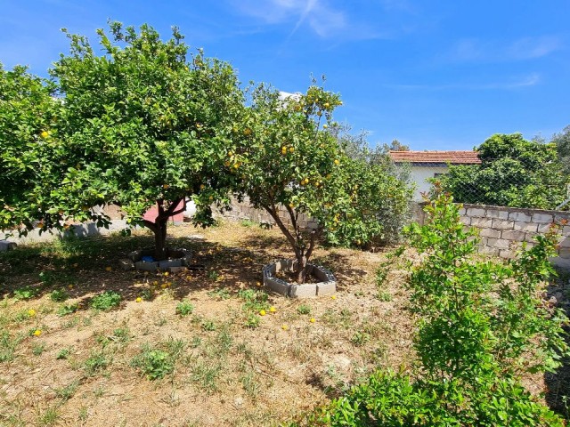 2 BEDROOM SEMI-DETACHED BUNGALOW WITH GENEROUS GARDEN AREA