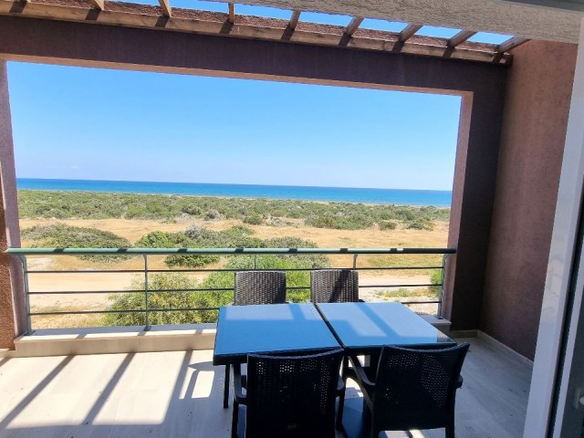 FURNISHED 1 BEDROOM APARTMENT IN A COMPLEX BY THE BEACH