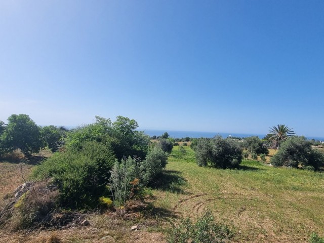 2.601 m2 PLOT WITH SPECTACULAR SEA VIEW