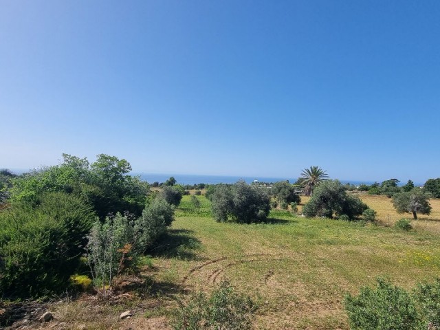 2.601 m2 PLOT WITH SPECTACULAR SEA VIEW