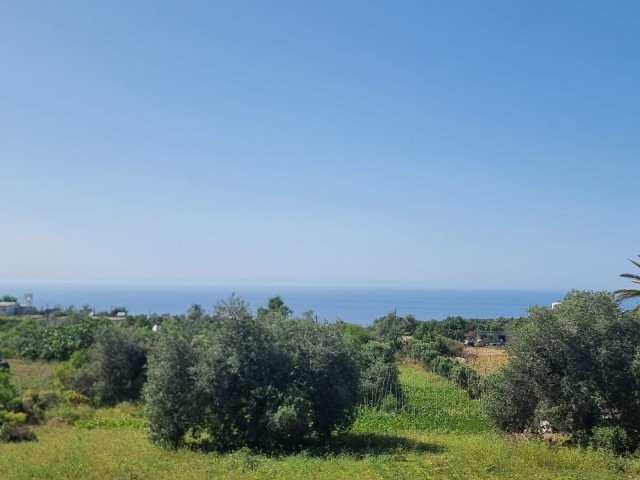 2.601 m2 PLOT WITH SPECTACULAR SEA VIEW