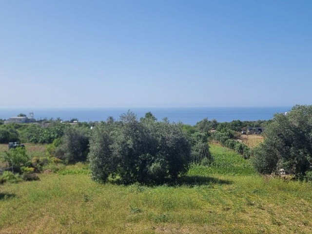 2.601 m2 PLOT WITH SPECTACULAR SEA VIEW