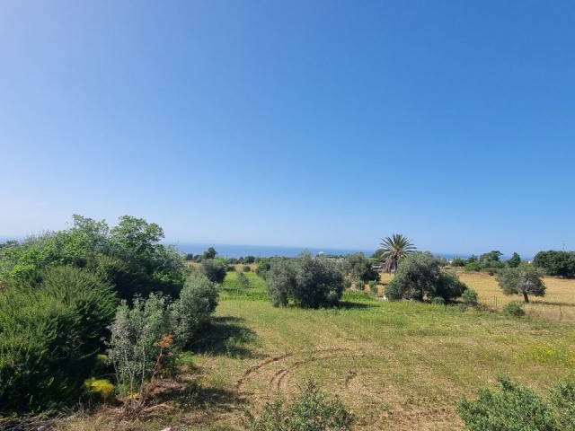 2.601 m2 PLOT WITH SPECTACULAR SEA VIEW