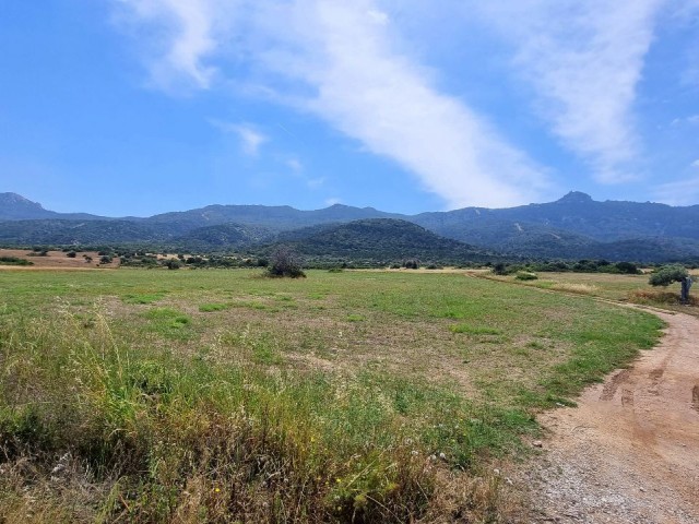 18.750 m2 GRUNDSTÜCK IN DER REGION MIT BLICK AUF DAS MEER AUS DER HÖHE