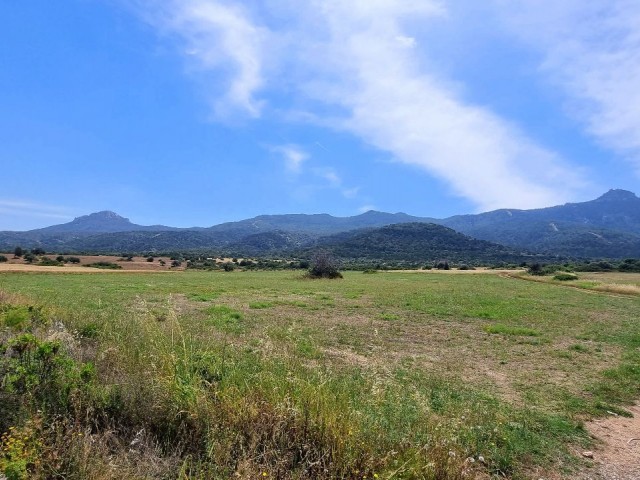 18.750 m2 GRUNDSTÜCK IN DER REGION MIT BLICK AUF DAS MEER AUS DER HÖHE