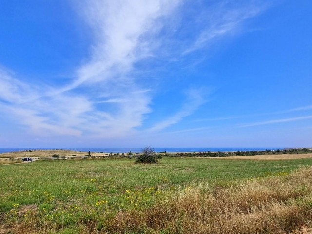 18.750 m2 GRUNDSTÜCK IN DER REGION MIT BLICK AUF DAS MEER AUS DER HÖHE