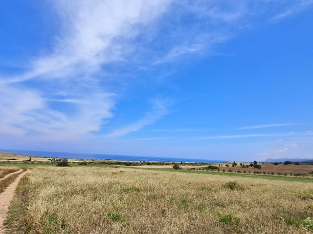 18.750 m2 GRUNDSTÜCK IN DER REGION MIT BLICK AUF DAS MEER AUS DER HÖHE