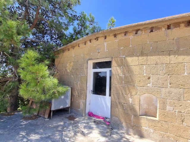 HISTORISCHES DORFHAUS MIT 2 SCHLAFZIMMERN