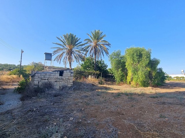 8000 M2 OF LAND, WITH %35 BUILDING PERMIT AND OLD VILLAGE HOUSE