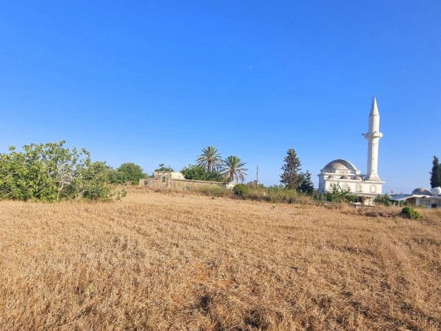 8000 M2 OF LAND, WITH %35 BUILDING PERMIT AND OLD VILLAGE HOUSE