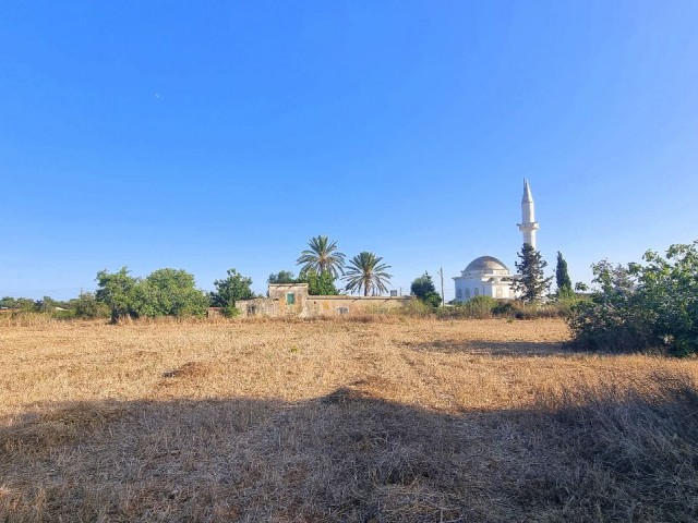 8000 M2 OF LAND, WITH %35 BUILDING PERMIT AND OLD VILLAGE HOUSE