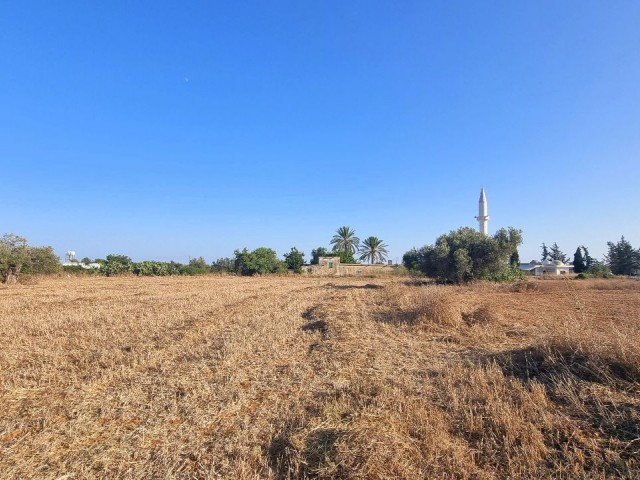 8000 M2 OF LAND, WITH %35 BUILDING PERMIT AND OLD VILLAGE HOUSE