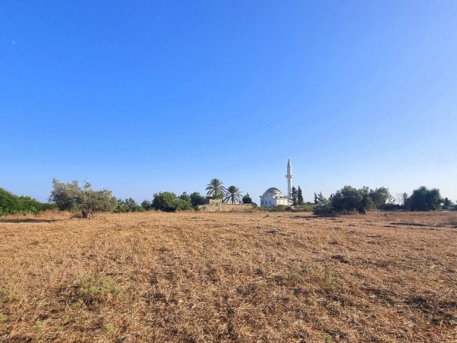 8000 M2 OF LAND, WITH %35 BUILDING PERMIT AND OLD VILLAGE HOUSE