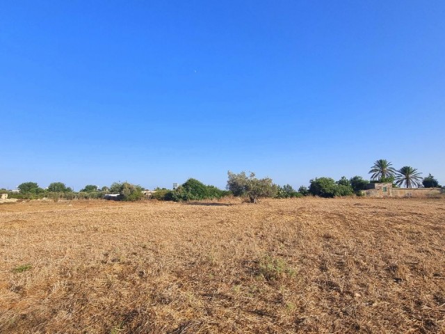 8000 M2 OF LAND, WITH %35 BUILDING PERMIT AND OLD VILLAGE HOUSE