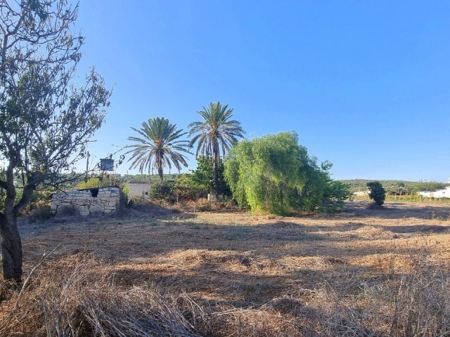 8000 M2 OF LAND, WITH %35 BUILDING PERMIT AND OLD VILLAGE HOUSE