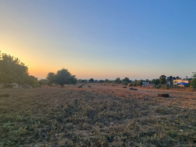 13.330 M2 GRUNDSTÜCK MIT MEERBLICK IN PERFEKTER LAGE