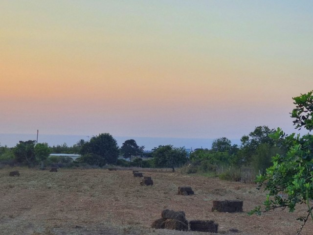 13.330 M2 GRUNDSTÜCK MIT MEERBLICK IN PERFEKTER LAGE