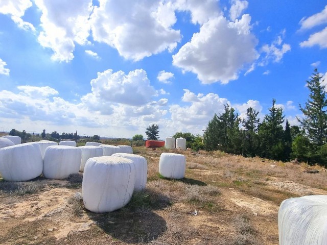 HUZURLU KÖY YAŞAMI İÇİERSİNDE İMAR İZİNLİ 405 M2 ARSA