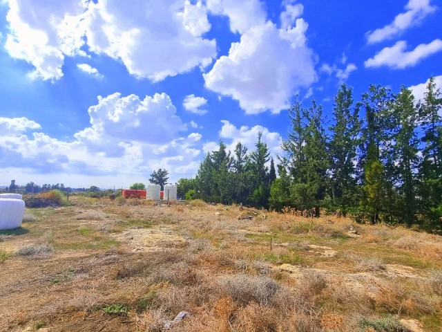 405 M2 PLOT OF LAND WITH RESIDENTIAL BUILDING PERMISSION