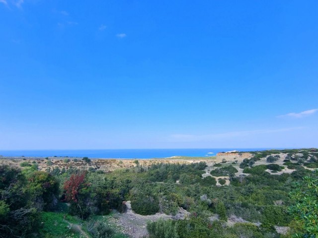 CHARMING 3 BED STONE COTTAGE ON THE CLIFF WITH POOL AND BREATHTAKING SEA VIEWS