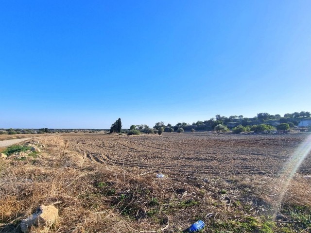 2.215 m2 PLOT OF LAND WITH RESIDENTIAL BUILDING PERMISSION