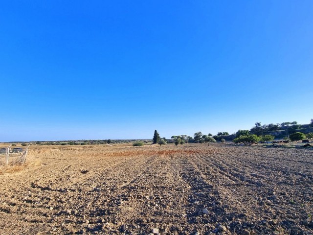 2.215 m2 PLOT OF LAND WITH RESIDENTIAL BUILDING PERMISSION